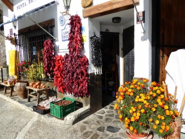 Pilates and walking holiday in Spain