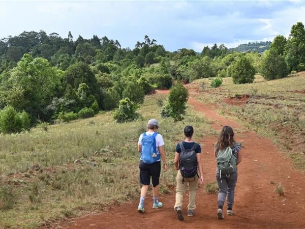 Community hiking in Gurage, Ethiopia