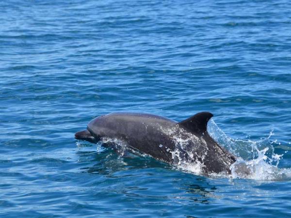 Costa Rica highlights holiday