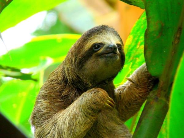 Costa Rica highlights holiday