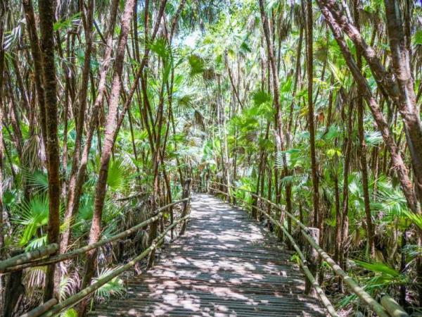 Belize adventure & Island hopping holiday