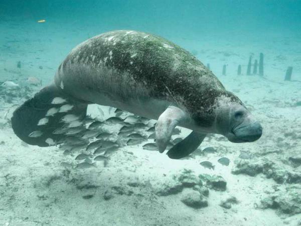 Belize adventure & Island hopping holiday