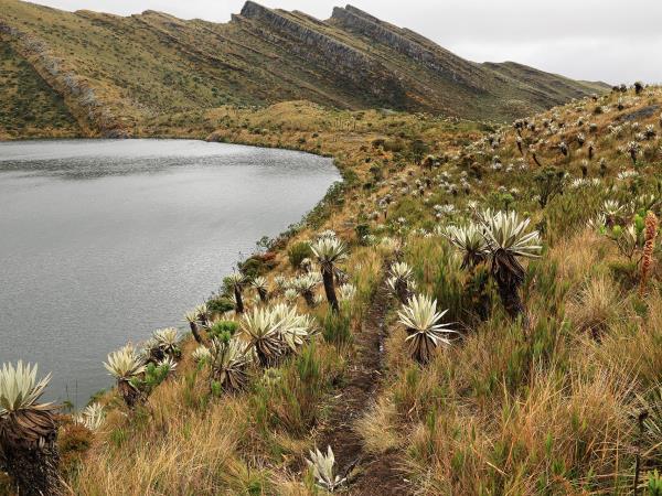 Colombia hiking holiday