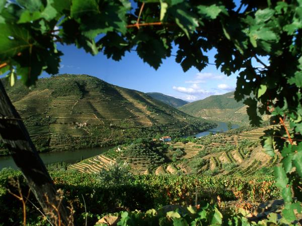 Douro Valley e-bike holiday, Portugal