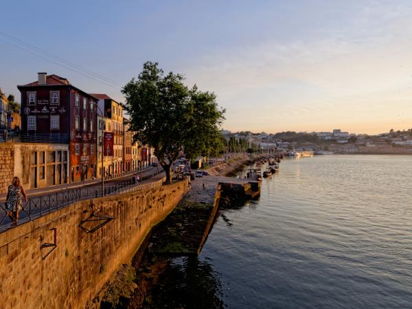 Douro Valley e-bike holiday, Portugal