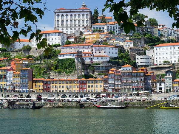 Douro Valley e-bike holiday, Portugal
