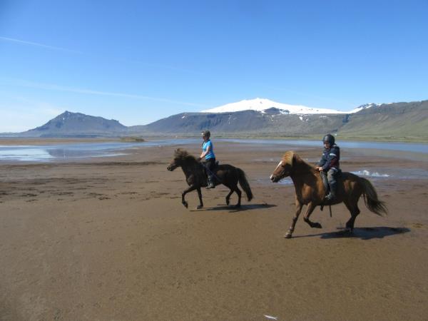 Iceland highlights self drive holiday