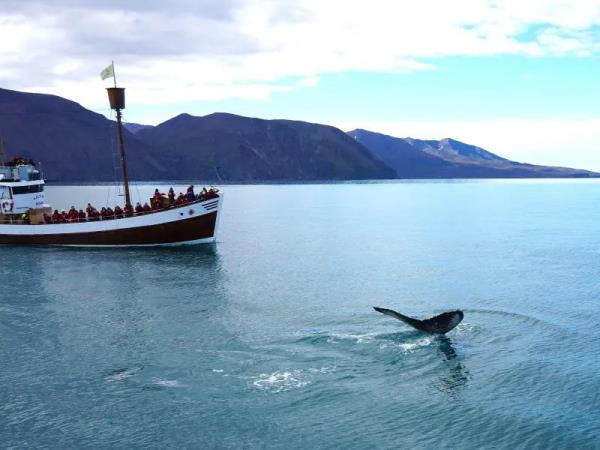 Iceland highlights self drive holiday