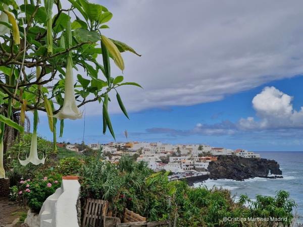 Learn Spanish in Tenerife