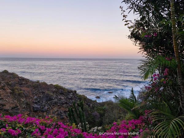 Tenerife culture & nature holiday