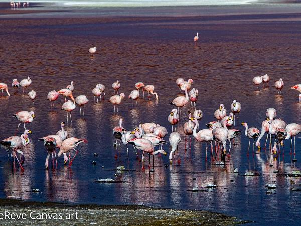 Natural highlights of Bolivia holiday