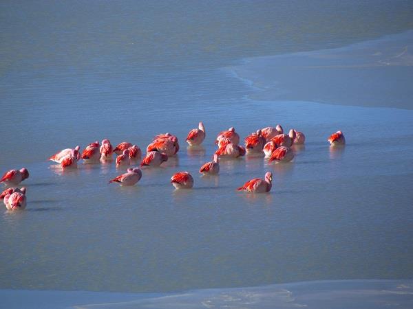 Bolivia photography tour