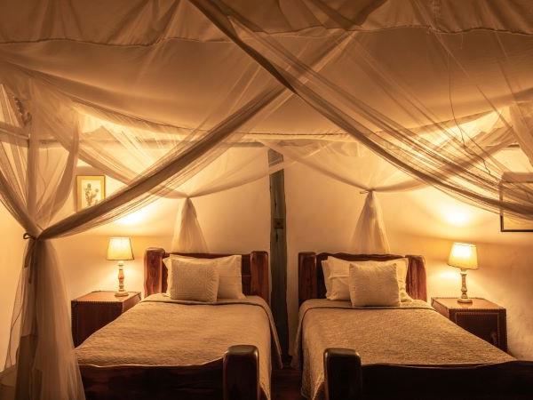 Kenya wildlife and Diani beach holiday