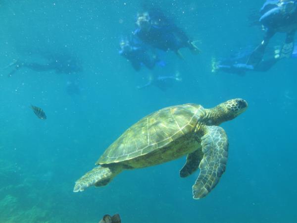 Galapagos adventure holiday
