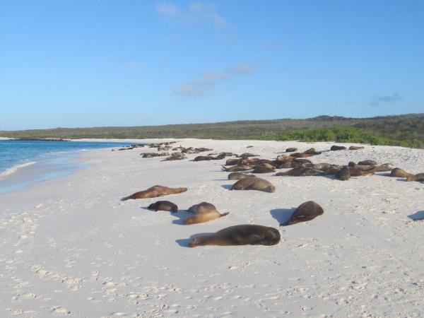 Galapagos adventure holiday