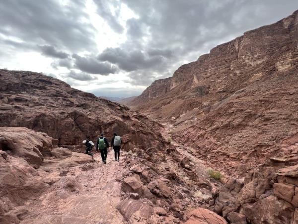 Petra to Wadi Rum trek, 6 days