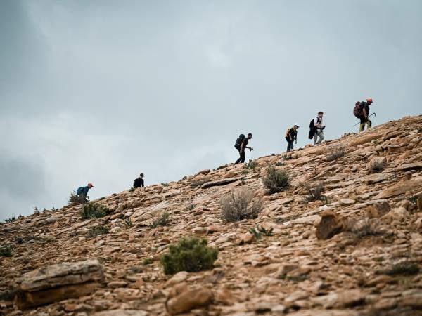 Petra to Wadi Rum trek, 6 days