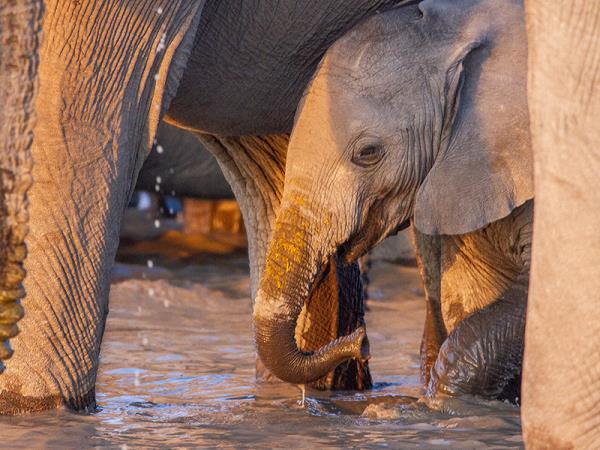 Namibia self drive and Botswana holiday