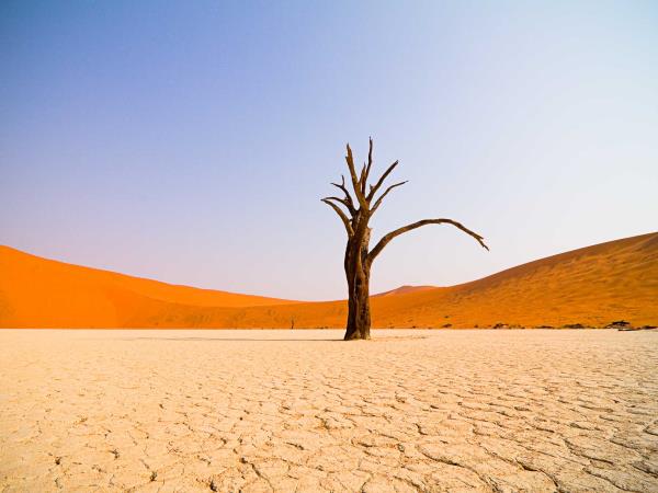 Namibia self drive and Botswana holiday