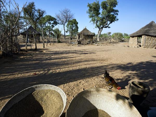 Namibia self drive and Botswana holiday