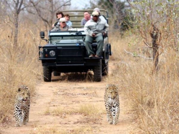 South Africa and Zimbabwe holiday, tailor made