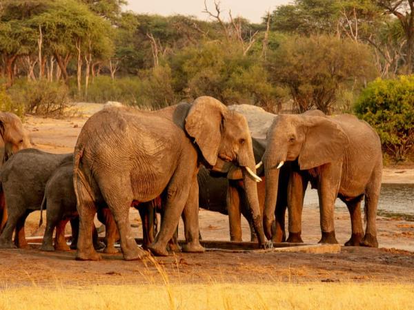 Zimbabwe tailor made holiday