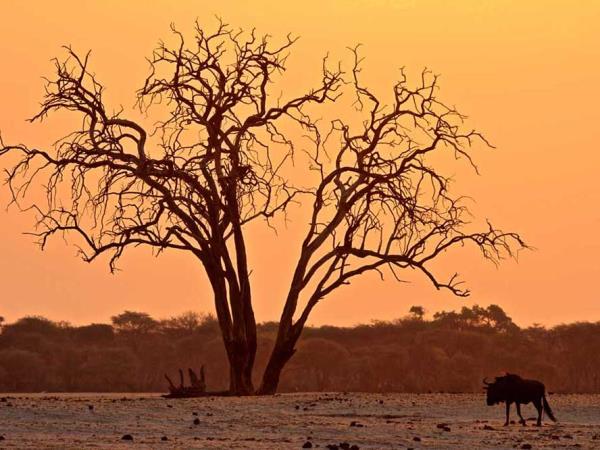 Zimbabwe tailor made holiday