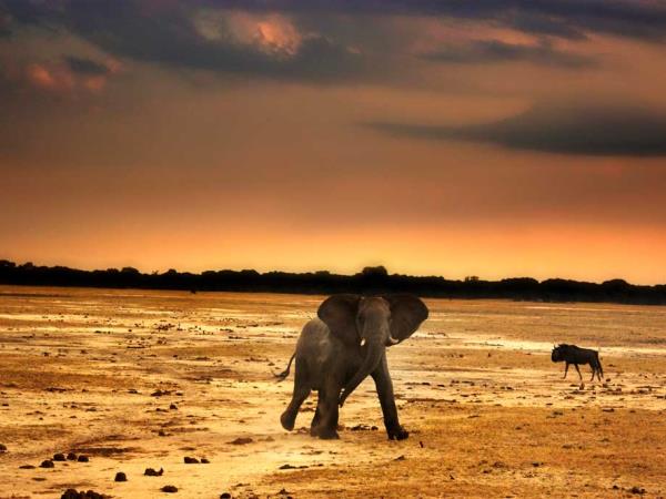 Zimbabwe tailor made holiday