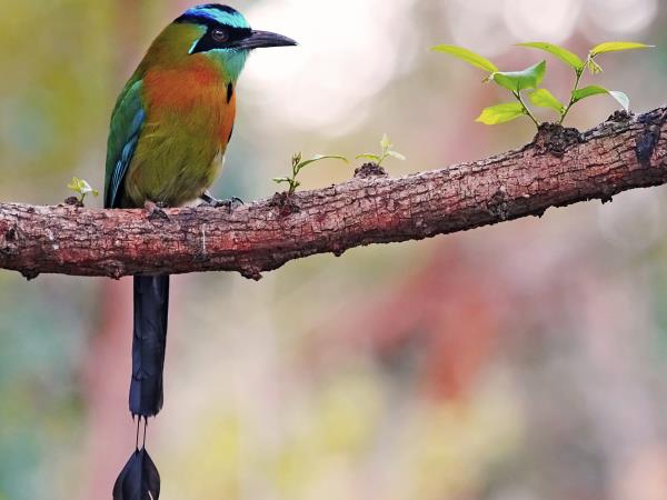 Nicaragua tailor made adventure holiday