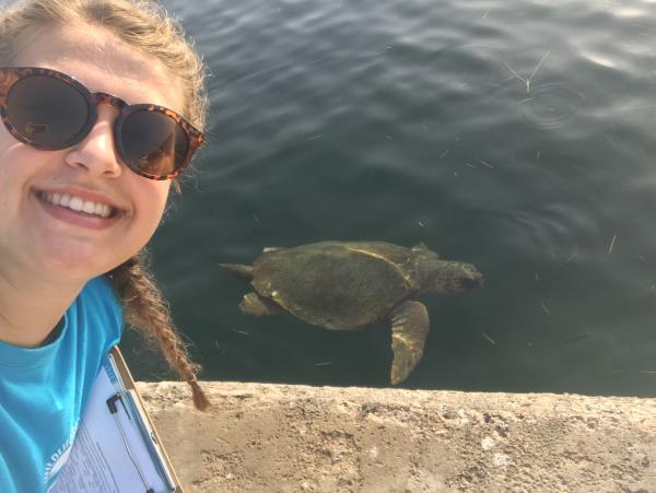 Turtle conservation in Greece
