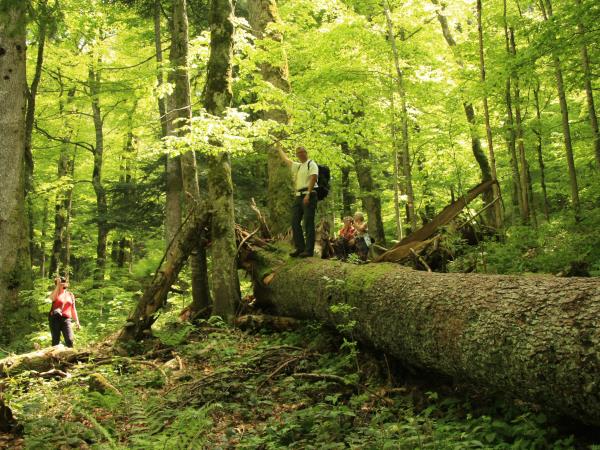 Self guided trekking holiday in Montenegro