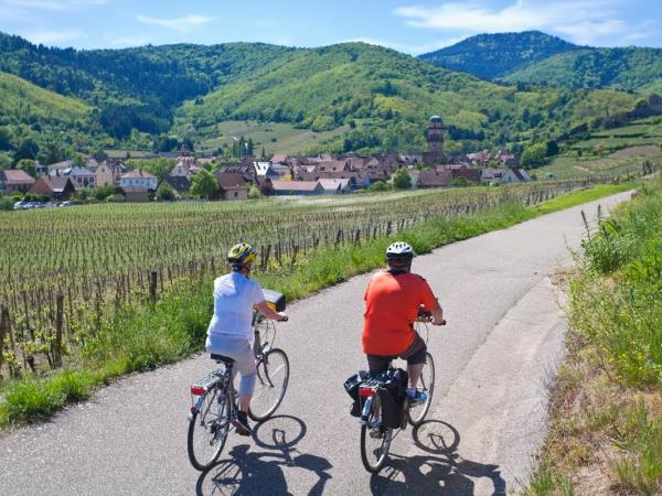 Alsace cycling holiday, France