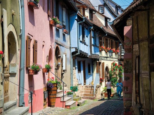 Alsace cycling holiday, France