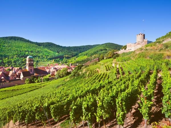 Alsace cycling holiday, France