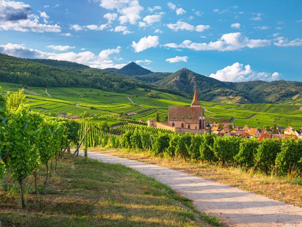 Alsace cycling holiday, France