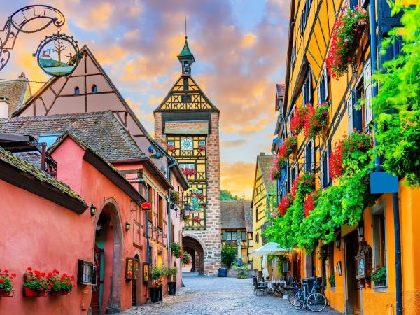 Alsace cycling holiday, France