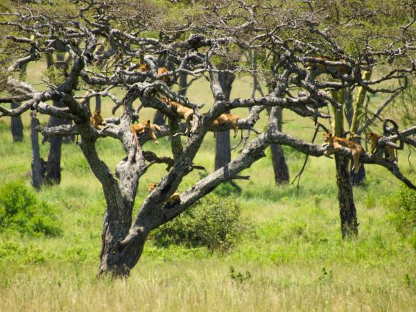 Tanzania tour with Kilimanjaro and Zanzibar
