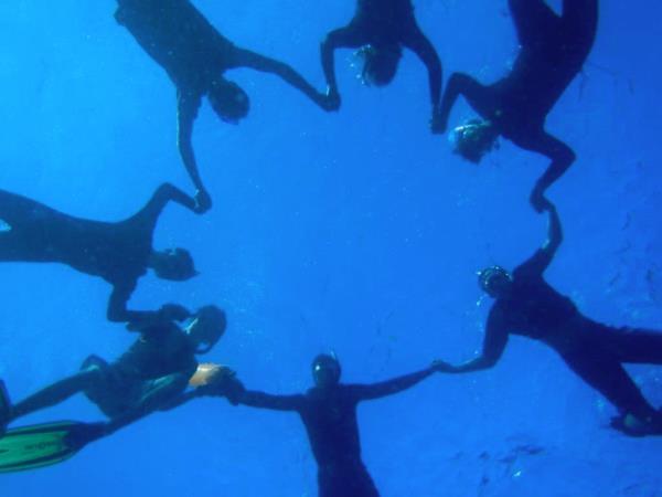 South Africa marine conservation diving holiday