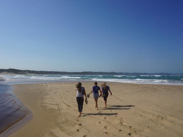 South Africa marine conservation diving holiday