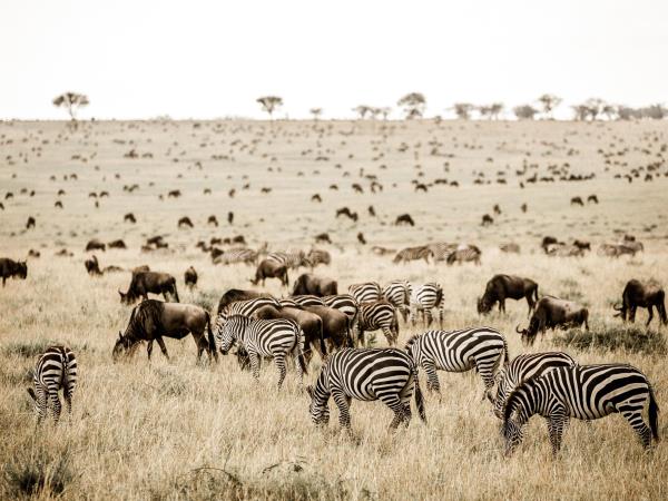 Tanzania tour with Kilimanjaro and Zanzibar