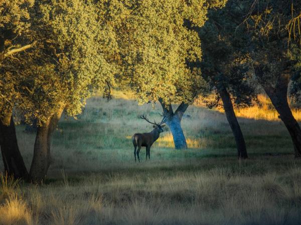 Segovia cycling holiday, Spain