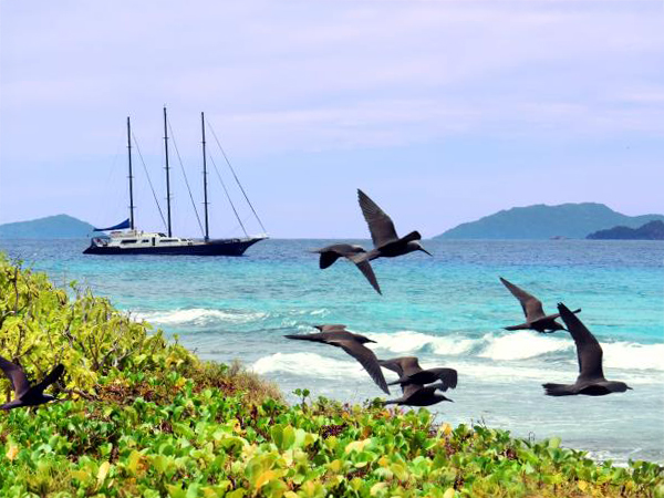 Seychelles premium sailing cruise