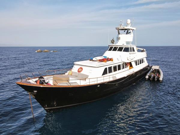 Baja wildlife holiday in Mexico
