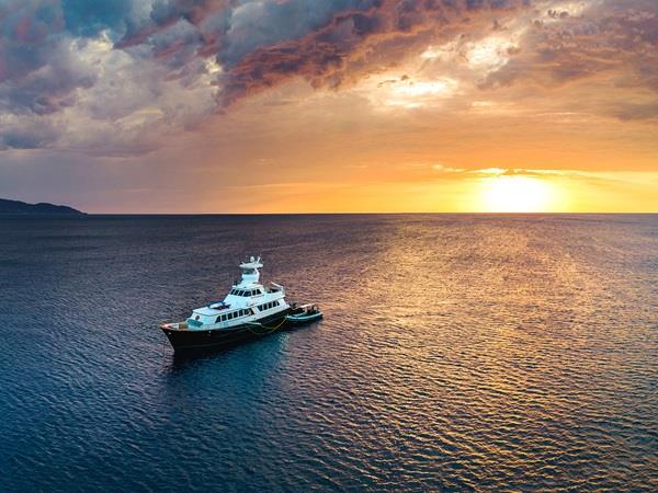 Baja wildlife holiday in Mexico