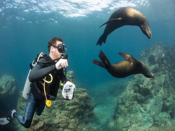 Baja wildlife holiday in Mexico