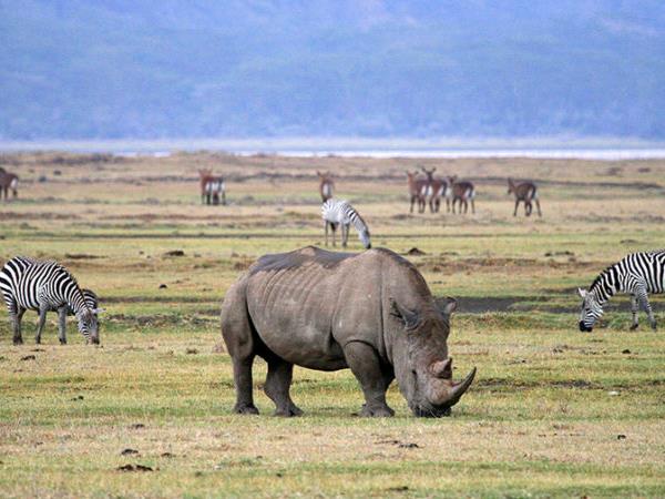 Best of Tanzania tailor made holiday