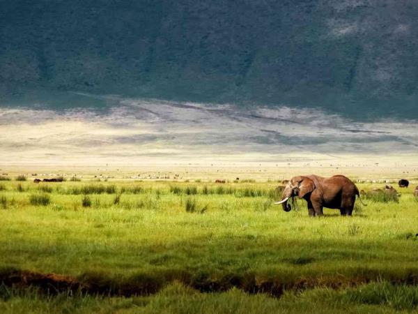Best of Tanzania tailor made holiday