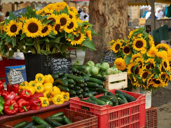 Provence cycling short break