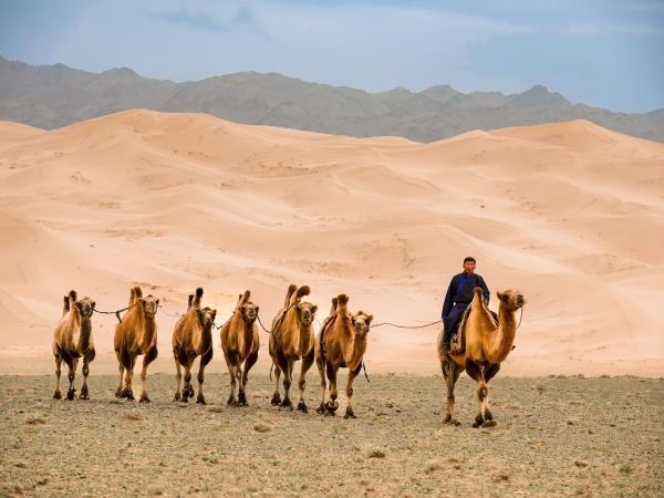 Naadam and Gobi Desert tour, Mongolia