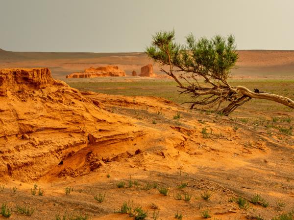 Naadam and Gobi Desert tour, Mongolia